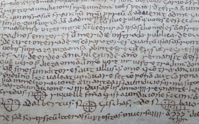 CURS: Paleografia i tipologies documentals 1: escriptura carolina